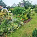Le Vieux Logis *